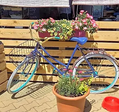 Hotel Plaz Vyton Lipno nad Vltavou